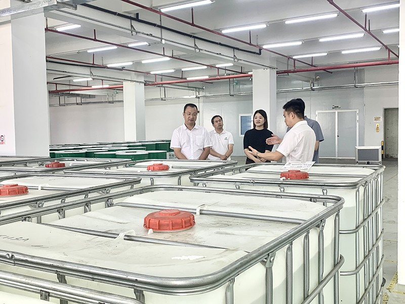 政企连心·共促发展|东莞市东城区政府领导莅临云顶4008新材参观指导